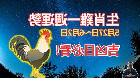 2024 雞運程